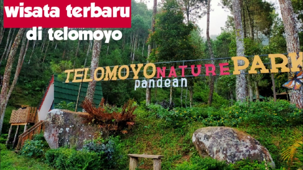 Telomoyo Nature Park: Keindahan Alam di Lereng Gunung Merapi